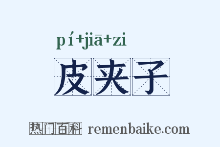 皮夹子是什么意思的图片